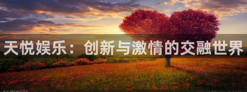 万事娱乐