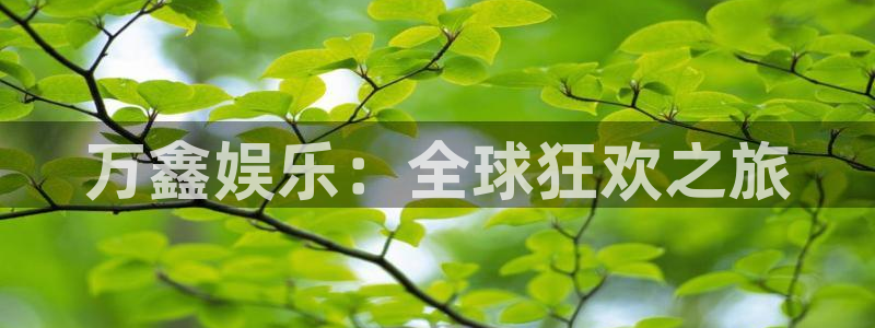 万事娱乐登录地址