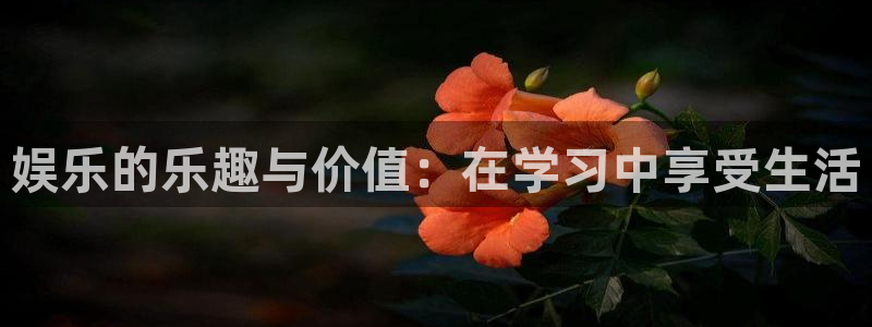 万事娱乐登录